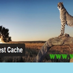 افزونه WP Fastest Cache افزایش سرعت بارگذاری سایت