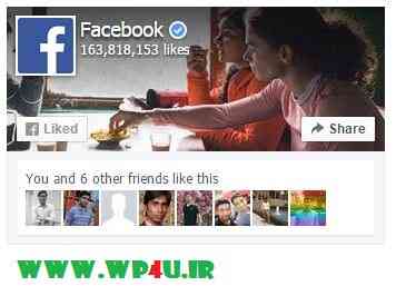 افزونه WS Facebook Like Box