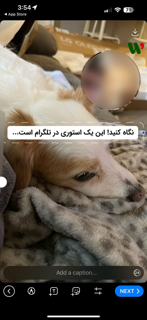 گذاشتن استوری در تلگرام