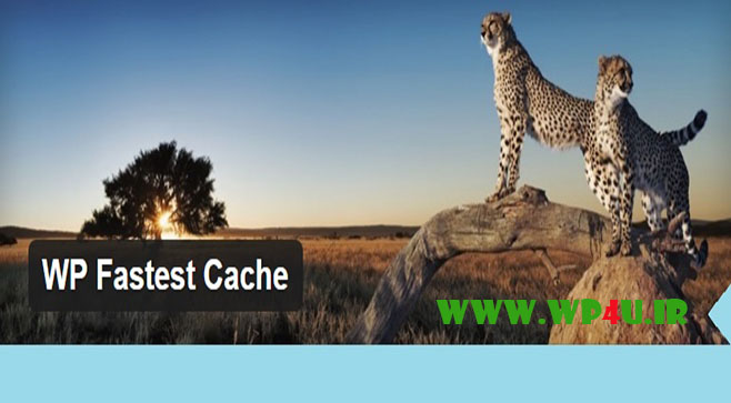 افزونه WP Fastest Cache