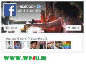 افزونه WS Facebook Like Box