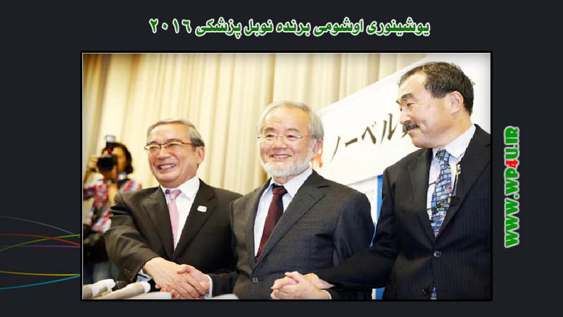 برنده نوبل پزشکی 2016