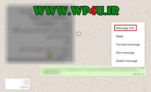 آموزش فهمیدن زمان خوانده شدن پیام در واتس اپ