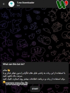 دانلود فایل از تلگرام با IDM و ADM