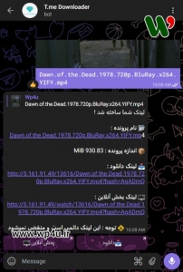 دانلود فایل از تلگرام با IDM و ADM